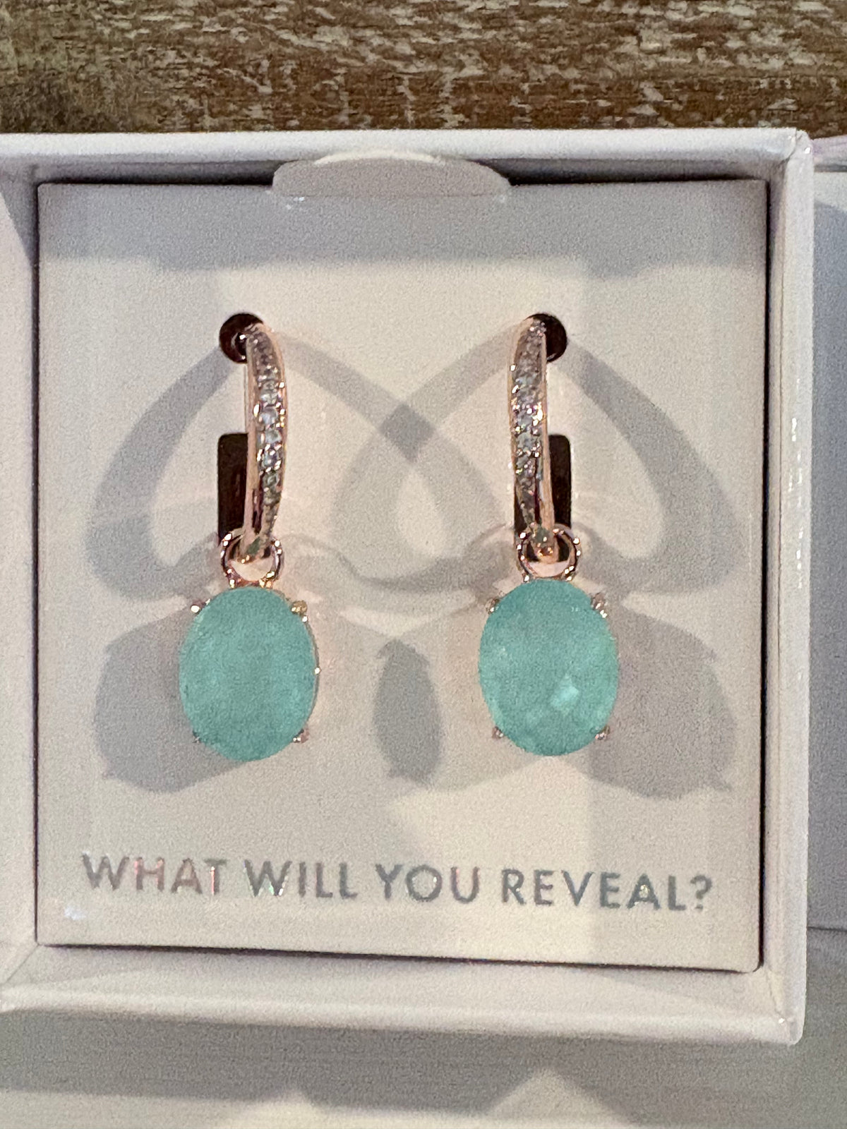 Mental Health 2025 Earrings